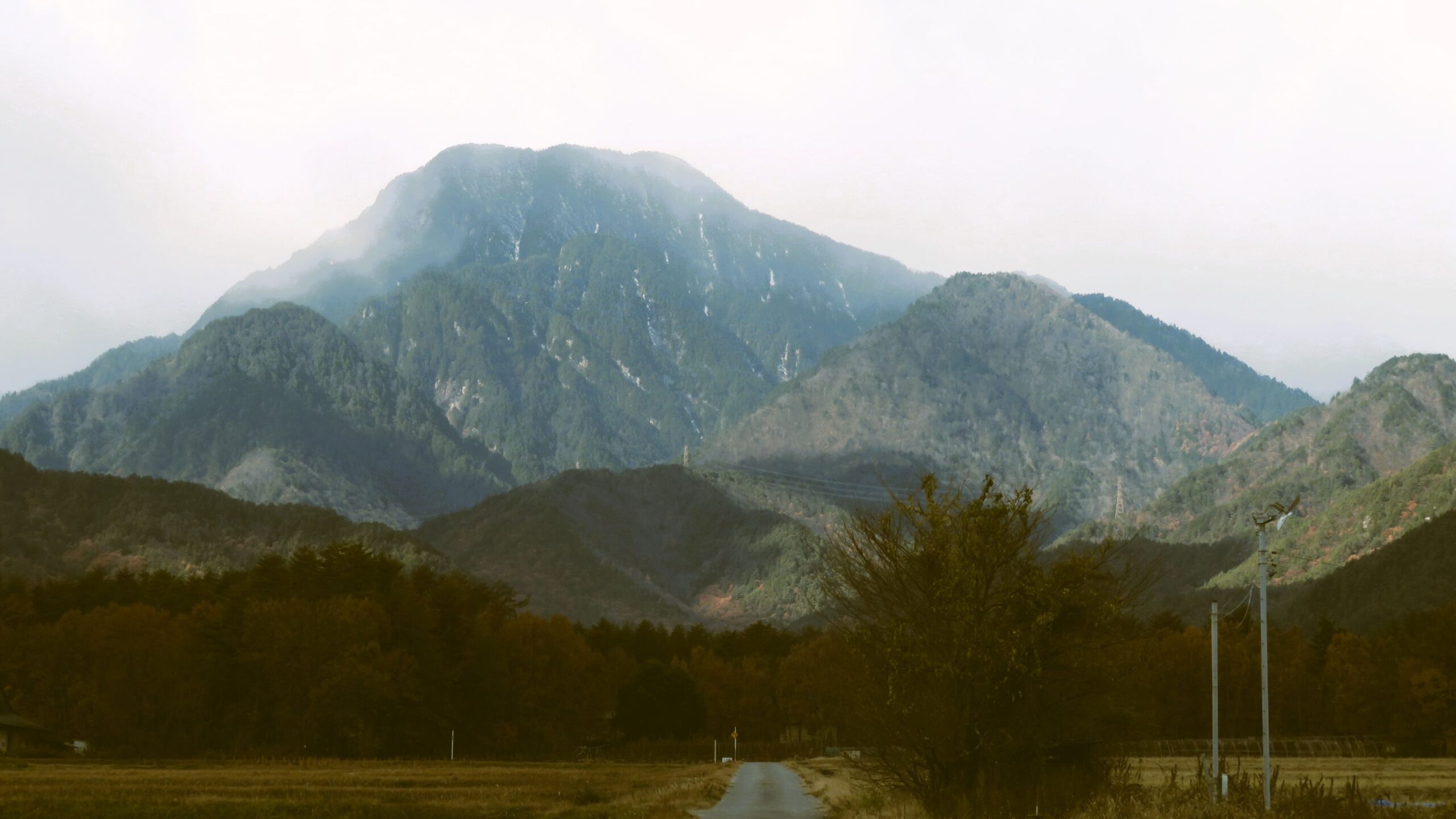 今年の天蚕飼育試験も終了しました