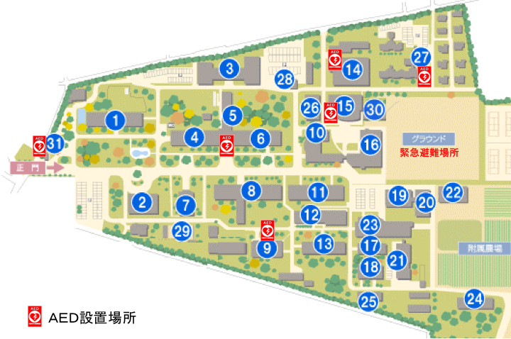 aedmap2