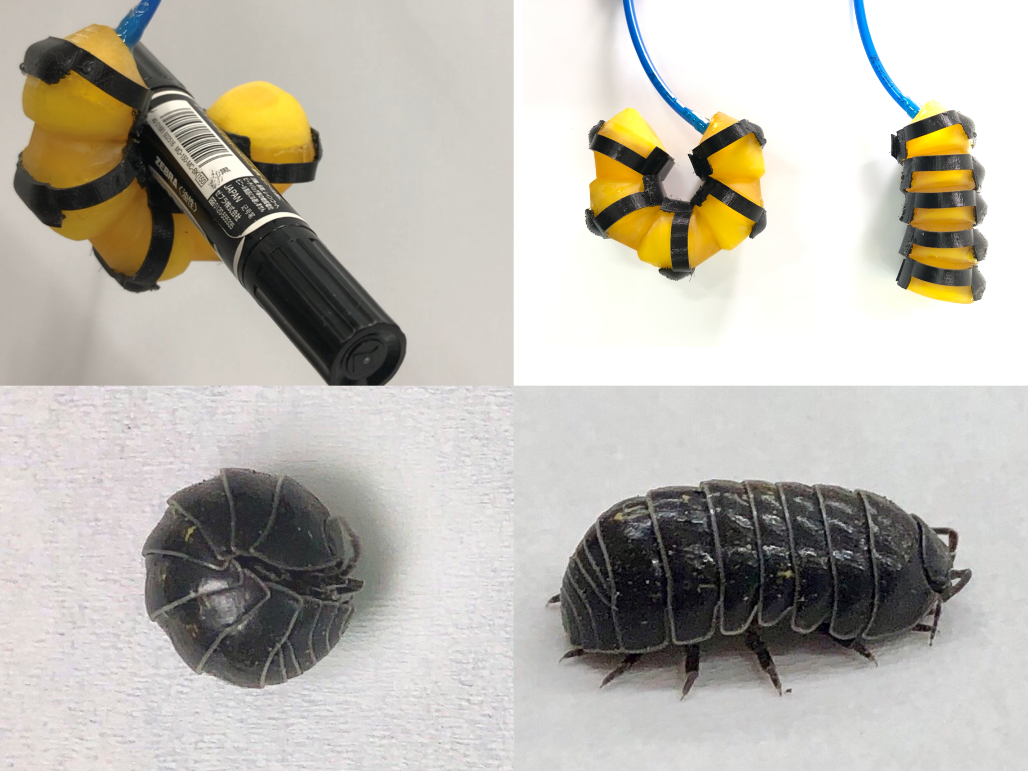 The Roly Poly Lab Soft pneumatic foldable actuator that mimics Roly-poly's transformation ...
